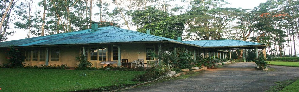 The Bungalow